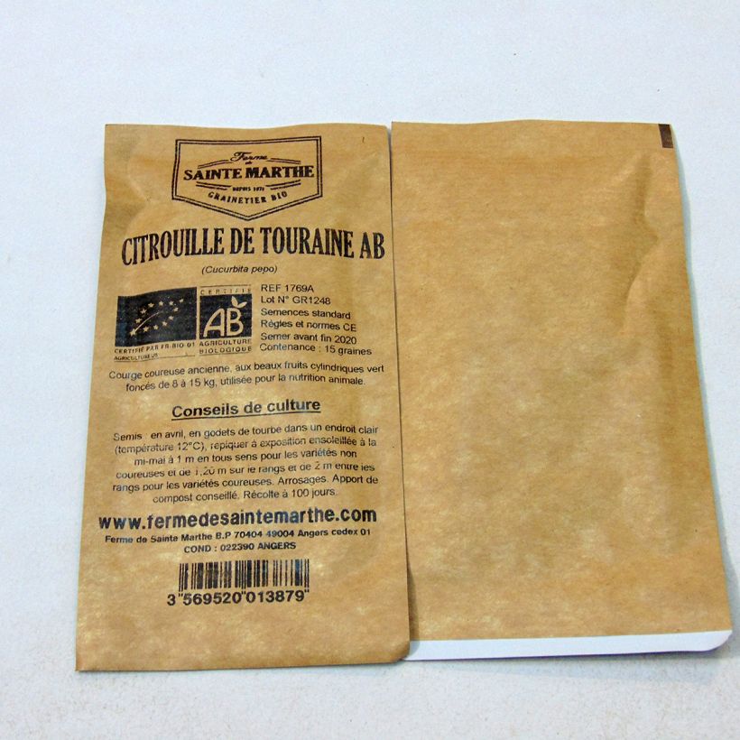Example of Pumpkin De Touraine - Ferme de Sainte Marthe Seeds per pack of 15 seeds (6g) specimen as delivered