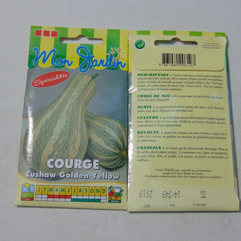 Example of Cushaw Golden Squash - Cucurbita	argyrosperma per pack of 18 seeds (3g) specimen as delivered