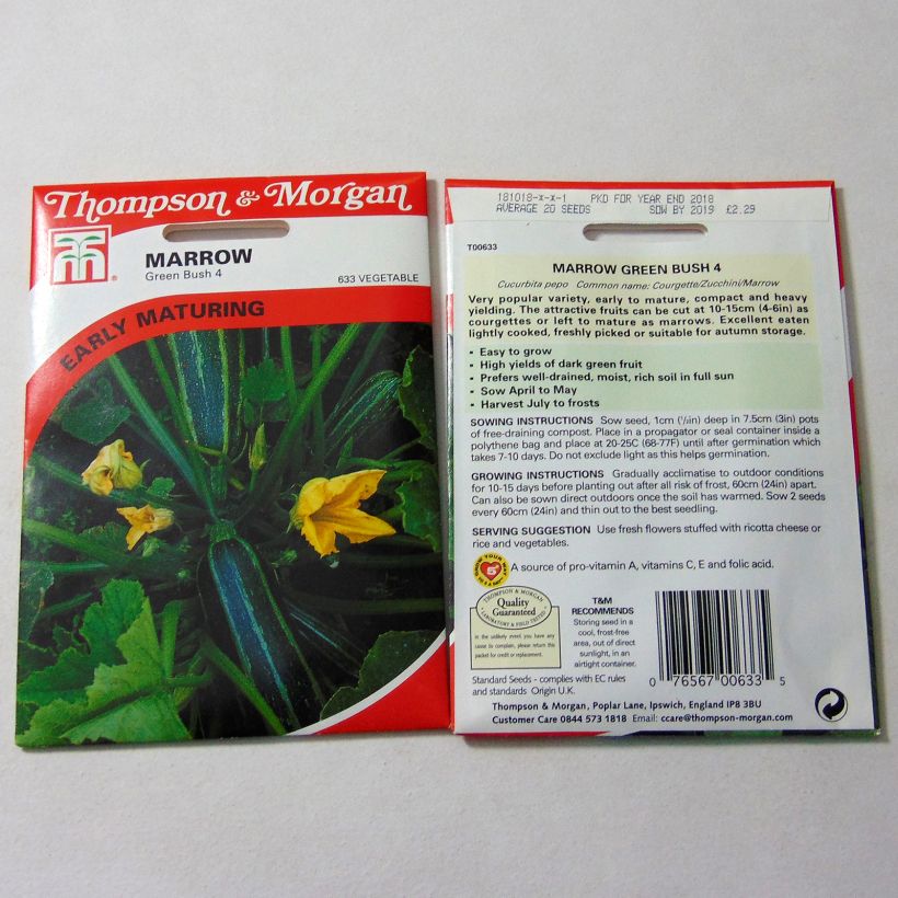 Example of Zucchini Green Bush 4  per pack of 25 seeds specimen as delivered