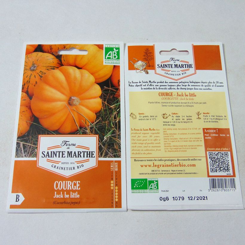 Example of Miniature Pumpkin Jack Be Little - Ferme de Sainte Marthe Seeds per pack of 8 seeds (0.6g) specimen as delivered