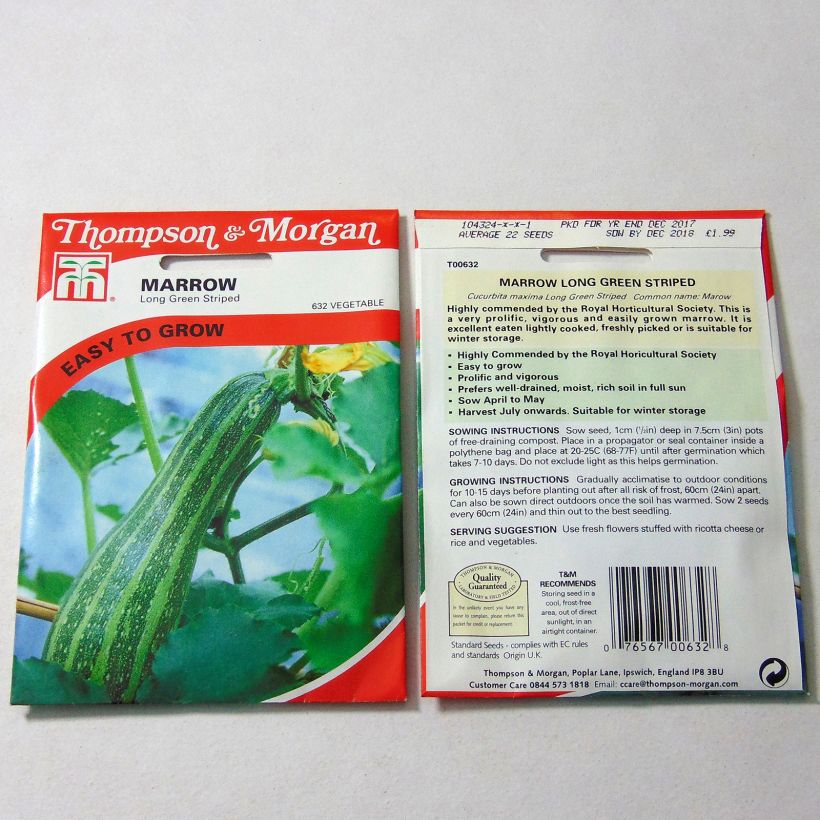 Example of Zucchini Long Green Striped - Cucurbita pepo per pack of 22 seeds specimen as delivered