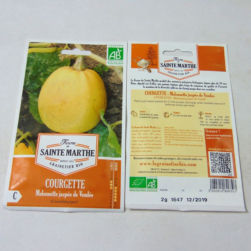 Example of Squash Melonnette Jaspée de Vendée - Ferme de Sainte Marthe Seeds specimen as delivered