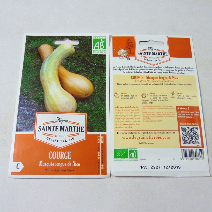 Example of Squash Longue de Nice - Ferme de Sainte Marthe Seeds specimen as delivered