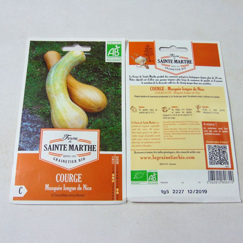 Example of Squash Longue de Nice - Ferme de Sainte Marthe Seeds per pack of 15 seeds (1,5g) specimen as delivered