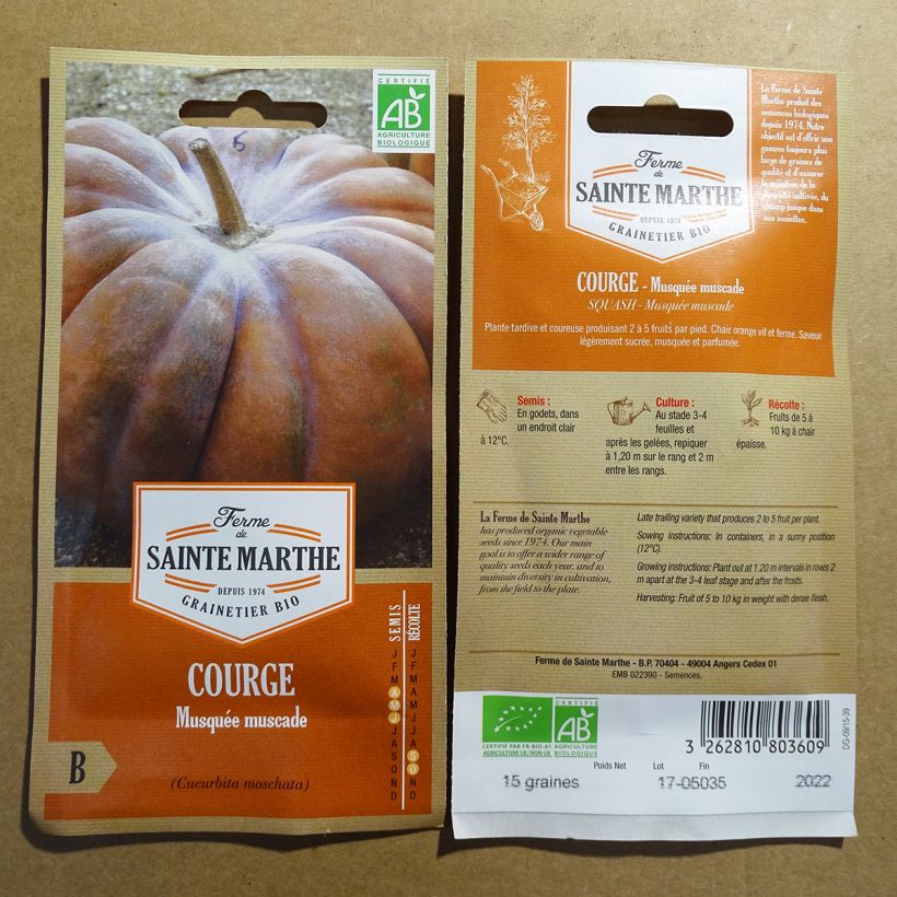 Example of Winter Squash Muscade - Ferme de Sainte Marthe Seeds per pack of 8 seeds (1.3g) specimen as delivered