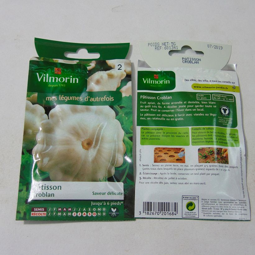 Example of Squash White Scallop Croblan - Vilmorin Seeds per pack of 30 seeds (5g) specimen as delivered