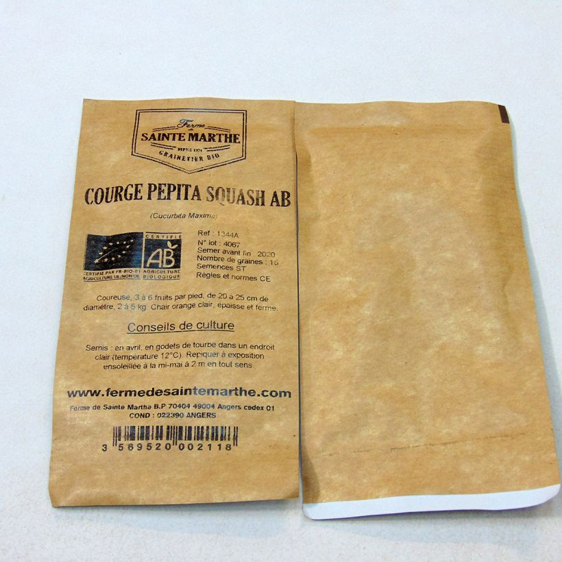 Example of Squash Pepita - Ferme de Sainte Marthe Seeds per pack of 20 seeds (6g) specimen as delivered