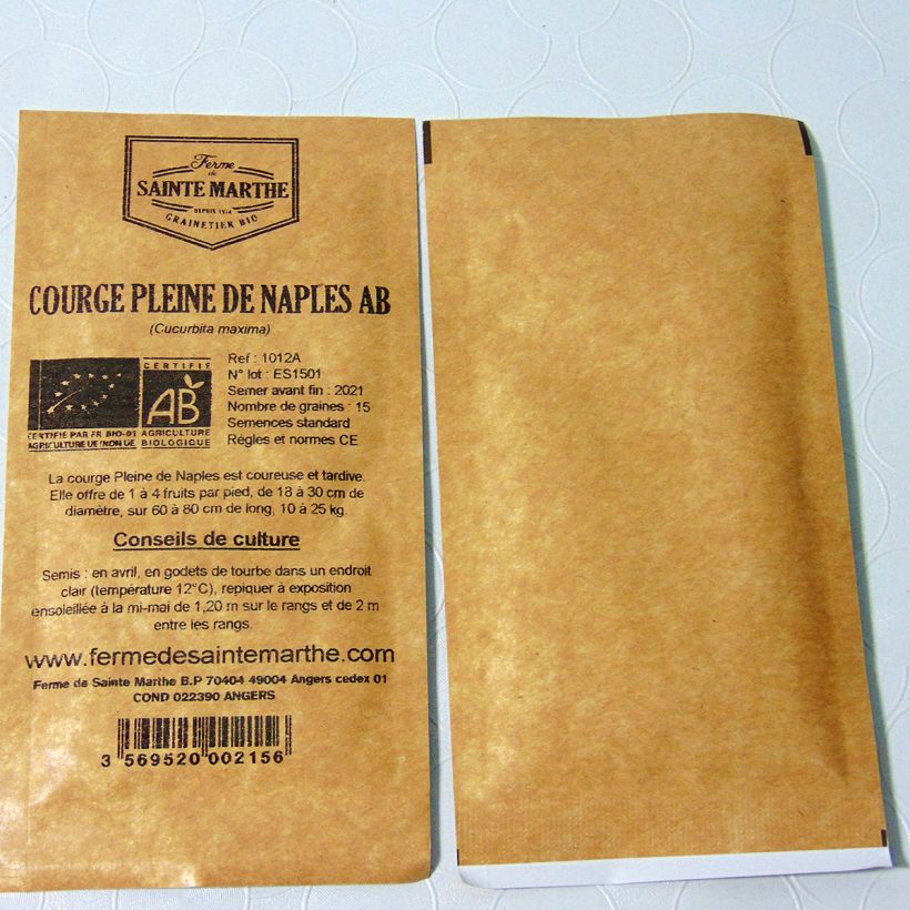 Example of Squash Lunga di Napoli - Ferme de Sainte Marthe Seeds per pack of 15 seeds (2g) specimen as delivered