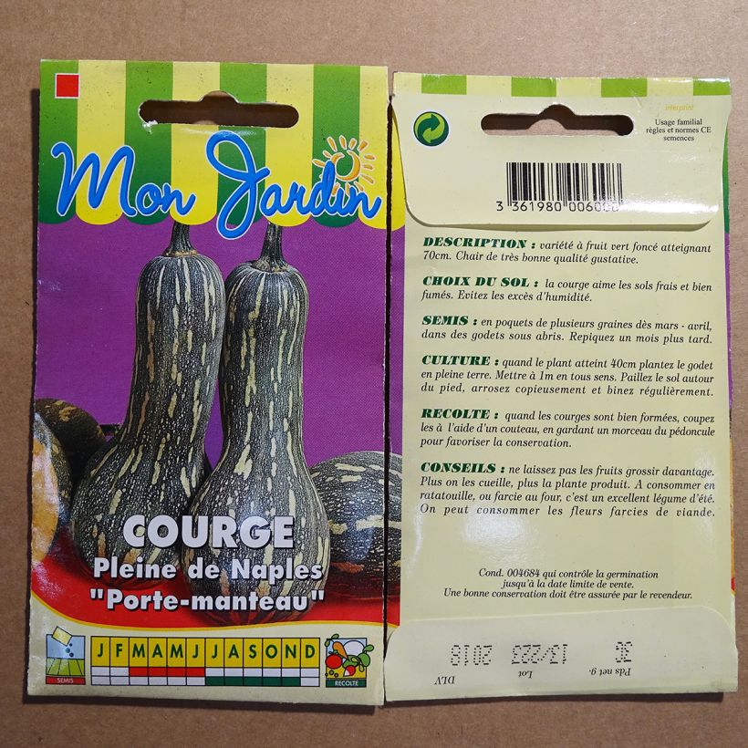 Example of Squash Lunga di Napoli - Cucurbita moschata per pack of 15 seeds (2g) specimen as delivered
