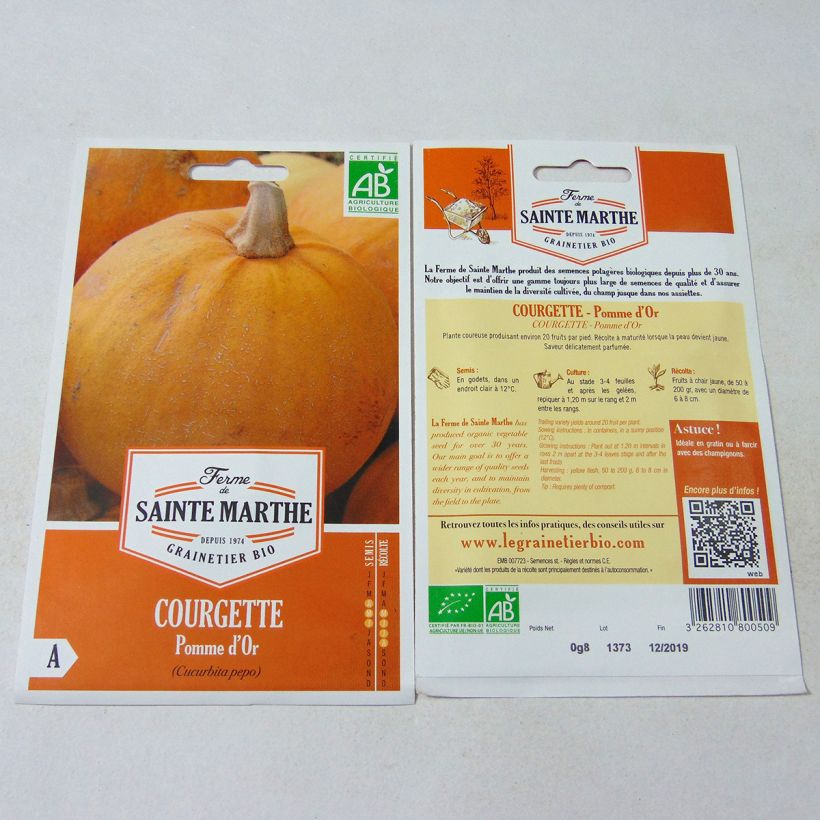 Example of Summer Squash Pomme d'Or organic seeds - Cucurbito pepo per pack of 10 seeds specimen as delivered