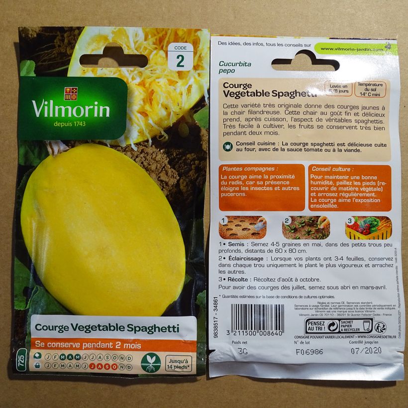Example of Squash Vegetable Spaghetti - Vilmorin Seeds per pack of 15 seeds (3g) specimen as delivered