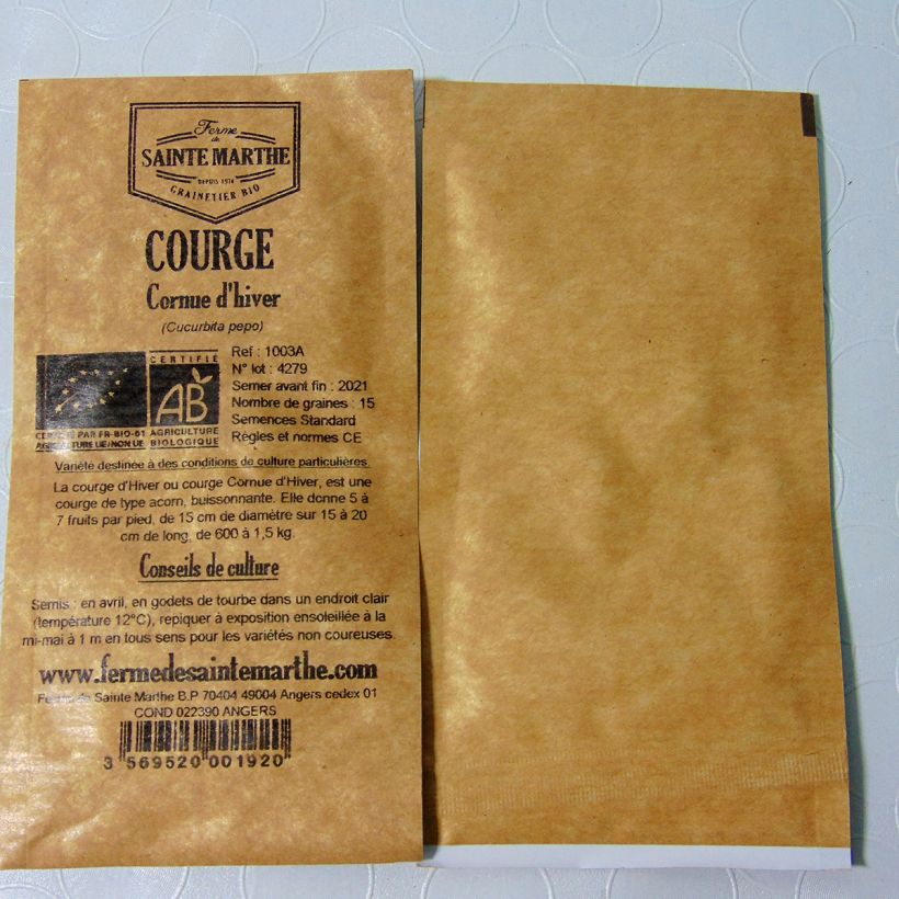 Example of Winter Acorn Squash Cornue dhiver - Ferme de Sainte Marthe Seeds per pack of 20 seeds (1g) specimen as delivered