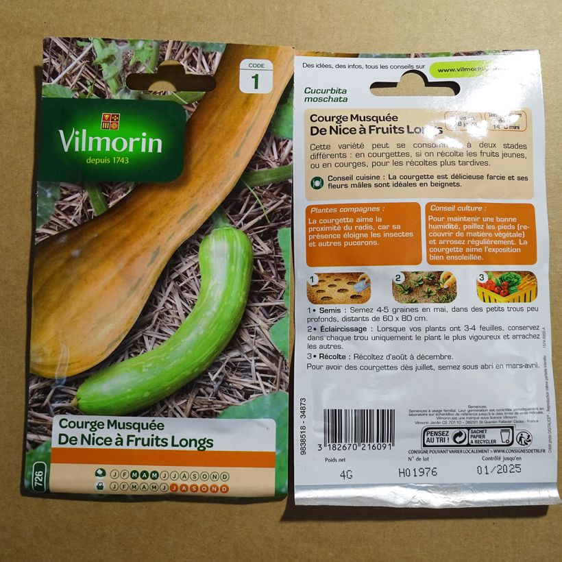 Example of Squash Longue de Nice - Vilmorin Seeds per pack of 24 seeds (4g) specimen as delivered