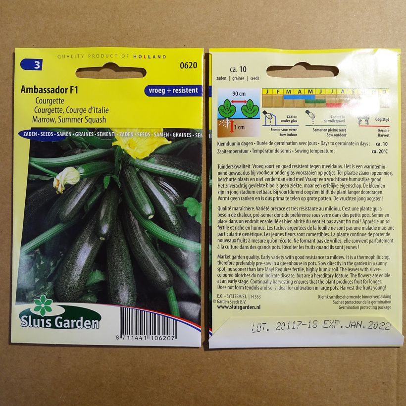 Example of Courgette Ambassador F1 specimen as delivered