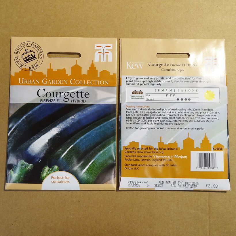 Example of Zucchini Firenze - Cucurbita pepo per pack of 6 seeds specimen as delivered
