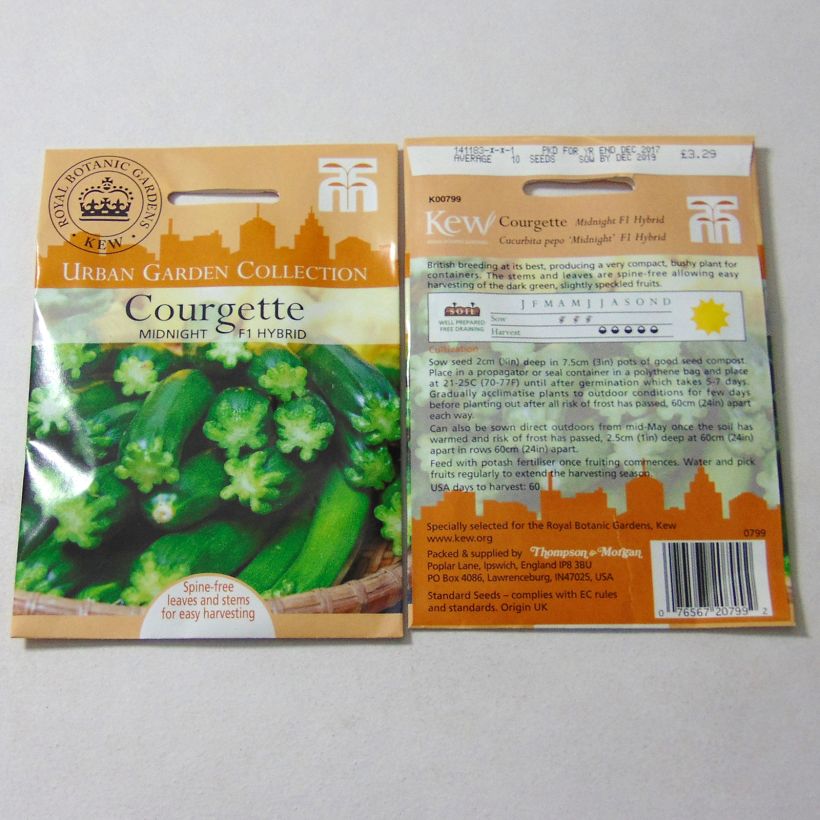 Example of Zucchini Midnight F1 - Cucurbita pepo per pack of 10 seeds specimen as delivered