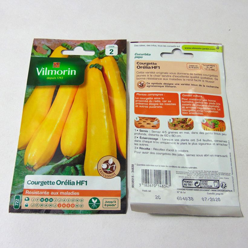 Example of Yellow Courgette Orelia F1 - Vilmorin Seeds per pack of 12 seeds (2g) specimen as delivered