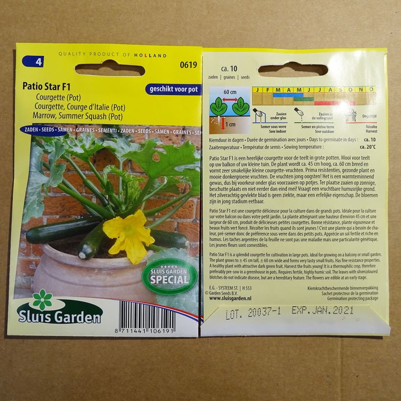 Example of Courgette Patio Star F1 per pack of 10 seeds specimen as delivered