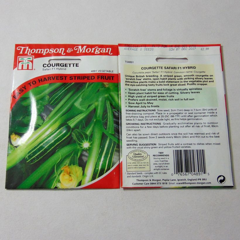 Example of Zucchini Safari F1 - Cucurbita pepo per pack of 8 seeds specimen as delivered