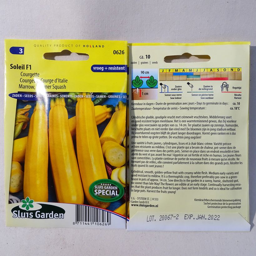 Example of Courgette Soleil F1 per pack of 10 seeds specimen as delivered