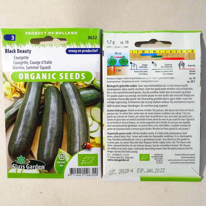 Example of Courgette Black Beauty - Verde di Milano specimen as delivered