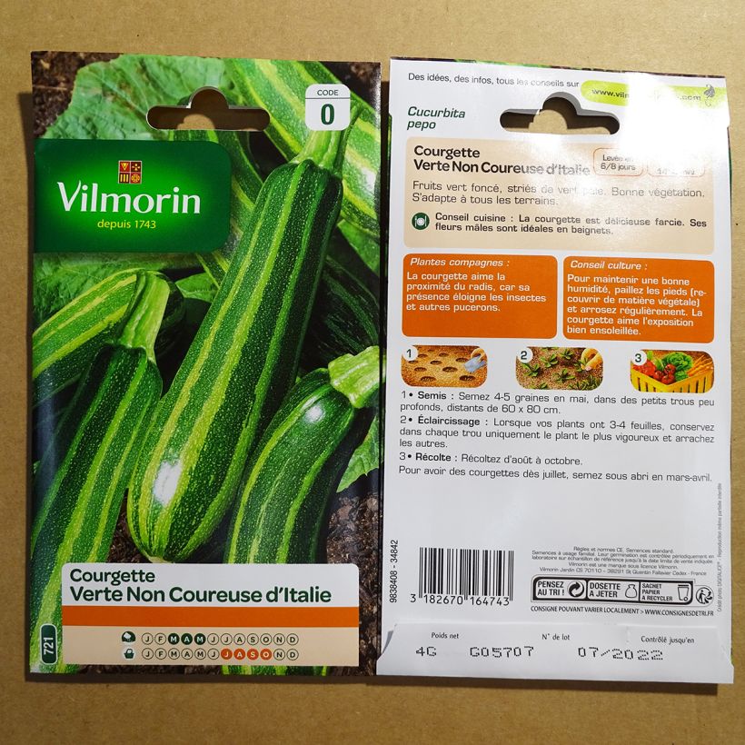 Example of Non-trailing Zucchini - Vilmorin seeds - Cucurbita pepo per pack of 40 seeds (4g) specimen as delivered