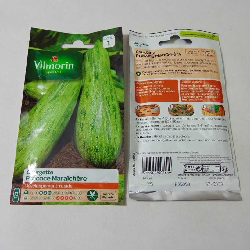 Example of Zucchini - Cucurbita pepo per pack of 50 seeds (5g) specimen as delivered