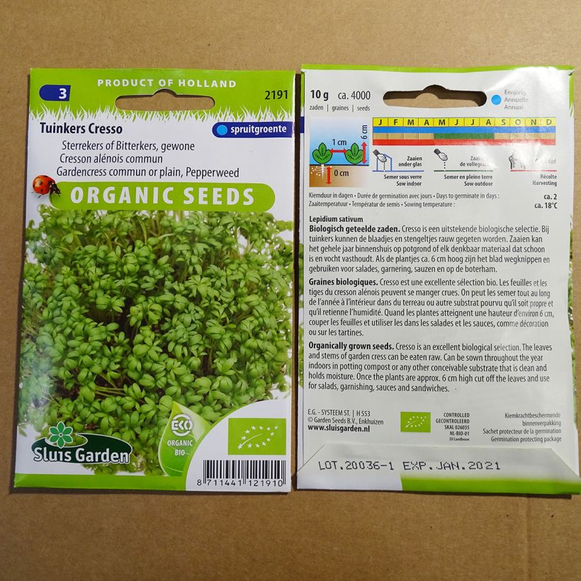 Example of Garden Cress Organic - Lepidium sativum per pack of 3650 seeds (10g) specimen as delivered