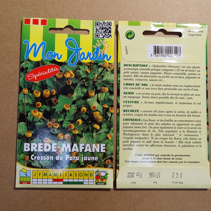 Example of Para Cress yellow - Bredy Mafana - Spilanthes oleracea per pack of 600 seeds (0,2g) specimen as delivered