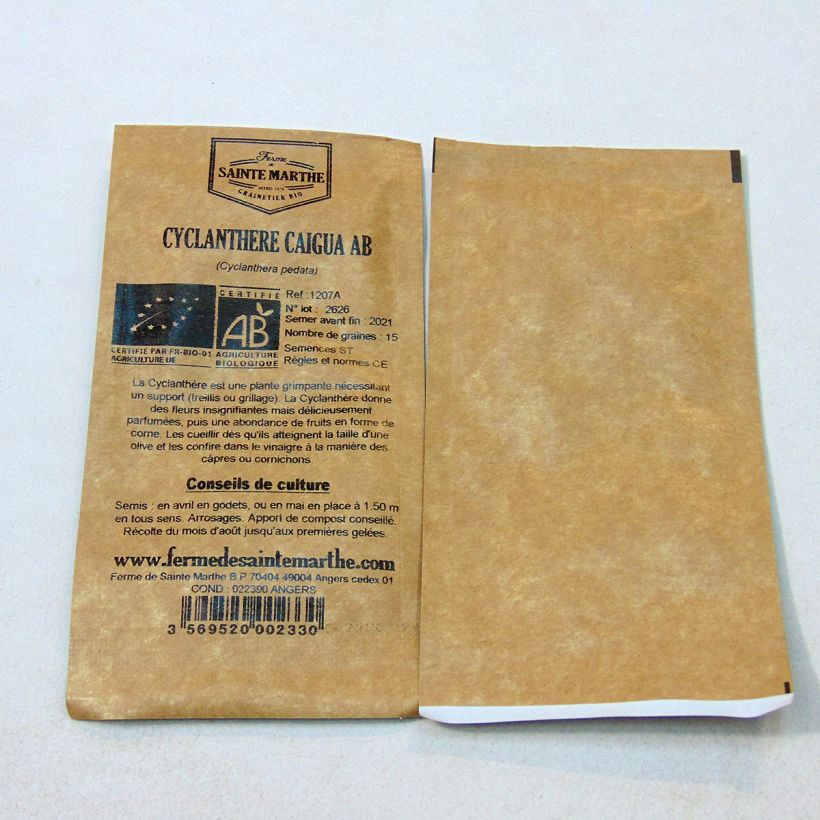 Example of Cyclanthere Caigua Bio - Ferme de Sainte Marthe seeds per pack of 15 seeds (1g) specimen as delivered