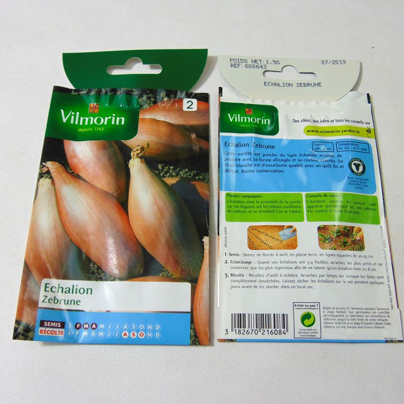 Example of Zébrune Onion - Vilmorin seeds - Allium cepa per 2 g seed pack specimen as delivered
