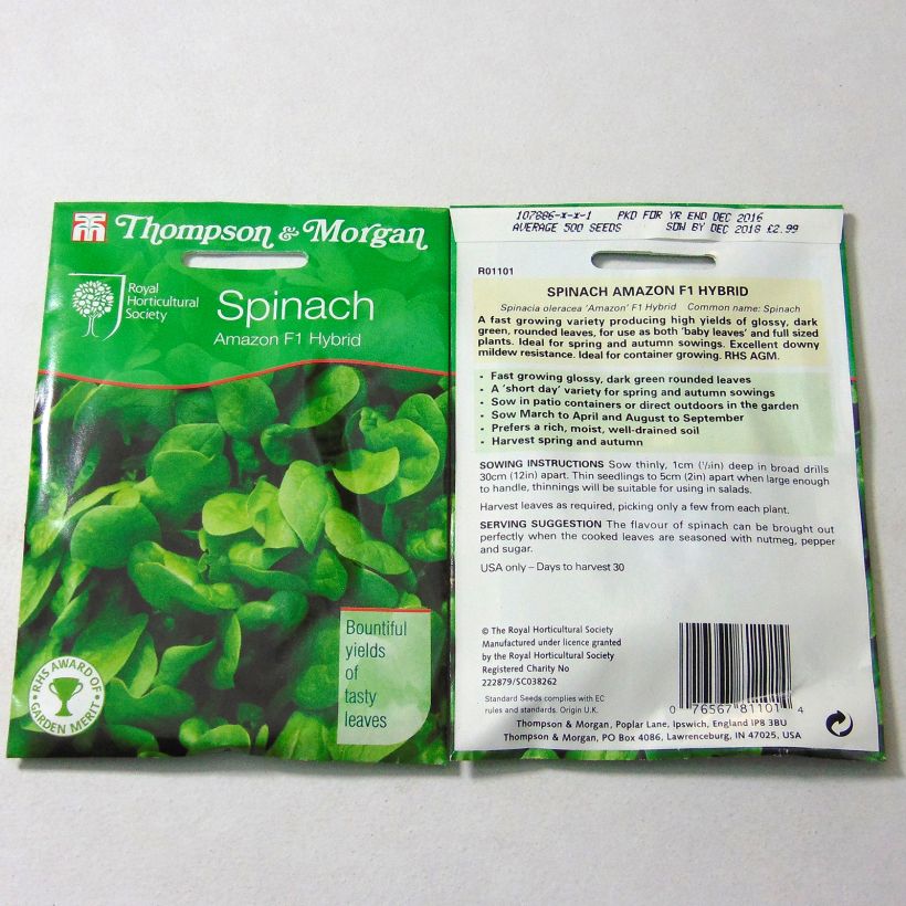 Example of Spinach Amazon F1 per pack of 500 seeds specimen as delivered