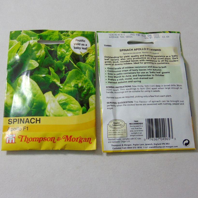 Example of Spinach Apollo per pack of 500 seeds specimen as delivered