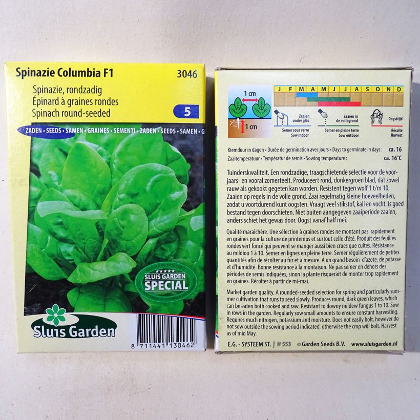 Example of Spinach Columbia F1 per pack of 6500 seeds (65g) specimen as delivered
