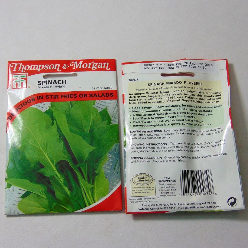 Example of Spinach Mikado F1 per pack of 500 seeds specimen as delivered