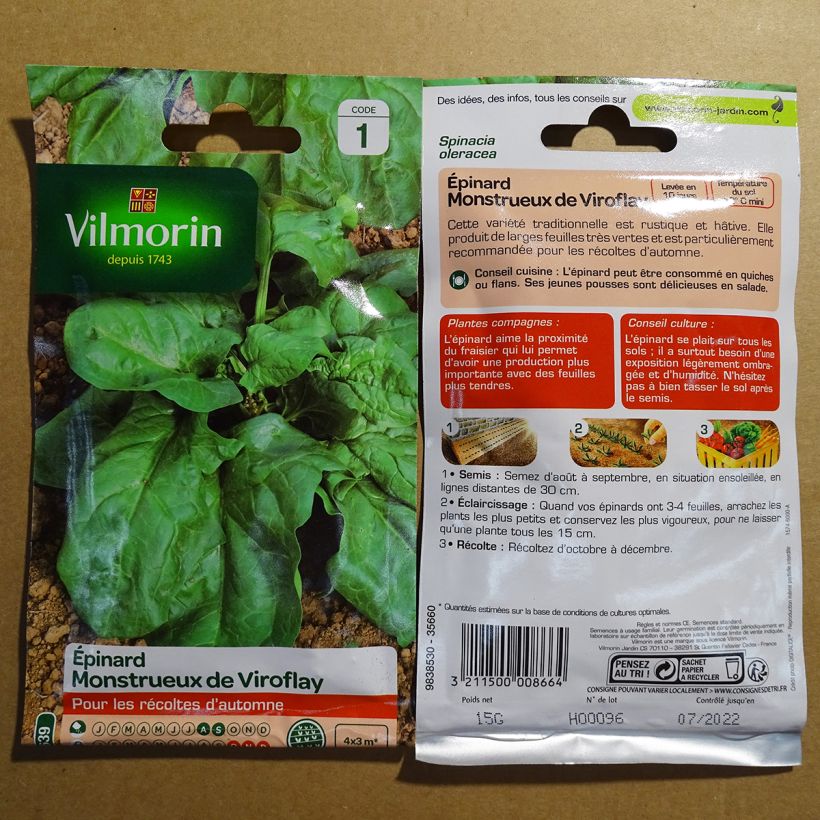 Example of Spinach Viroflay Giant - Vilmorin seeds per pack of 1500 seeds (15g) specimen as delivered