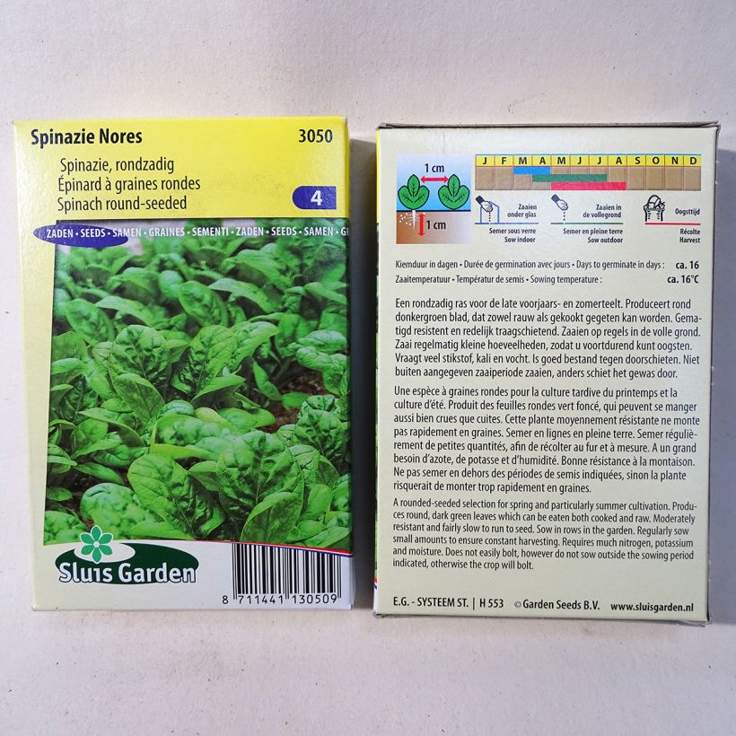 Example of Spinach Nores per pack of 900 seeds (90g) specimen as delivered