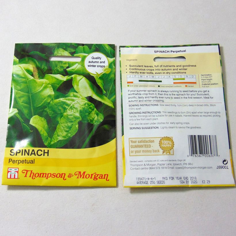 Example of Beet, Perpetual Chard - Beta vulgaris per pack of 250 seeds specimen as delivered