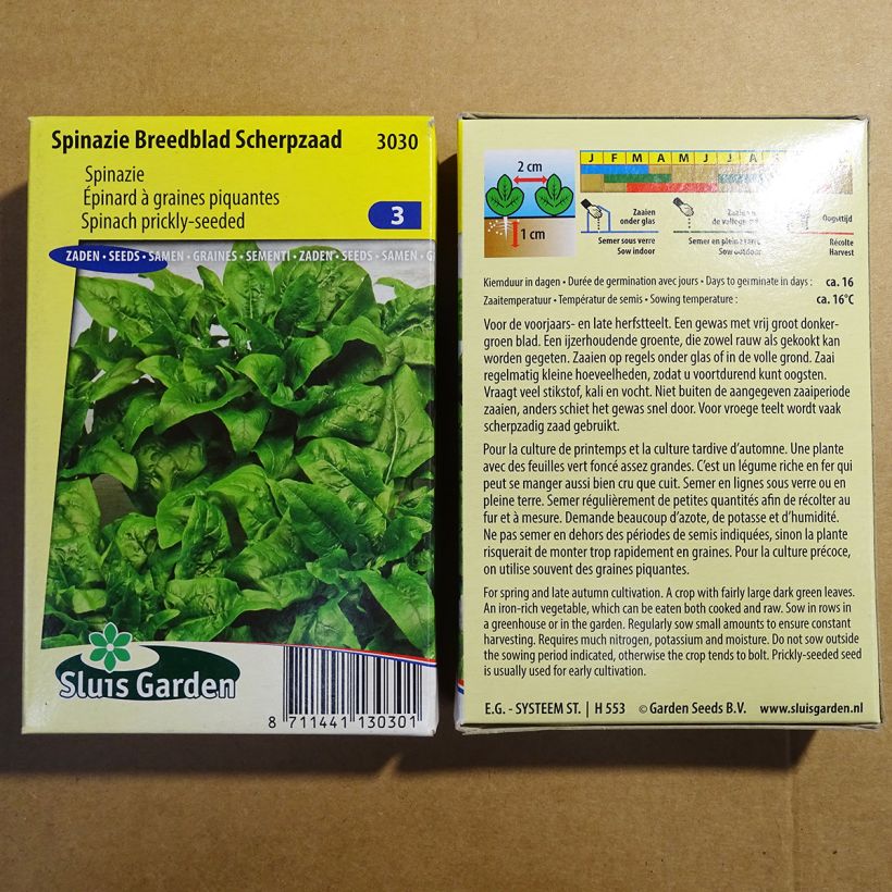 Example of Spinach Prickly-Seeded per pack of 5000 seeds (50g) specimen as delivered