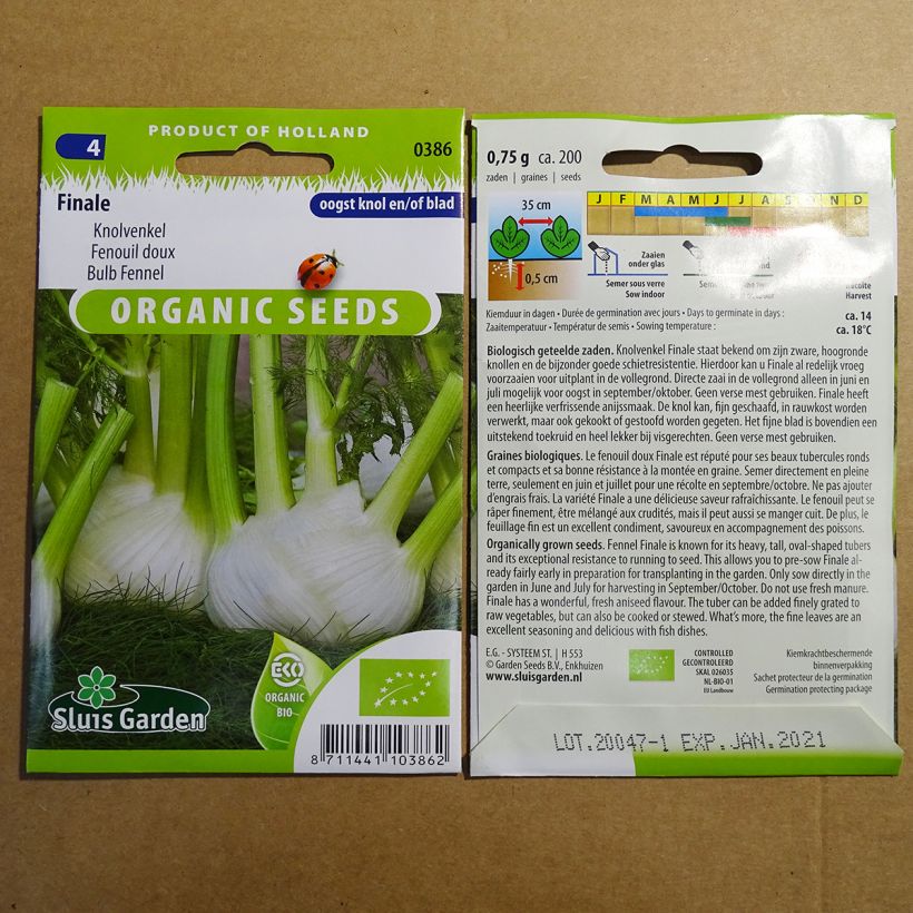 Example of Organic Foeniculum dulce Finale per pack of 250 seeds (1g) specimen as delivered