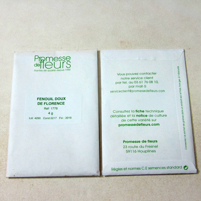 Example of Foeniculum dulce de Florence per pack of 700 seeds (4g) specimen as delivered
