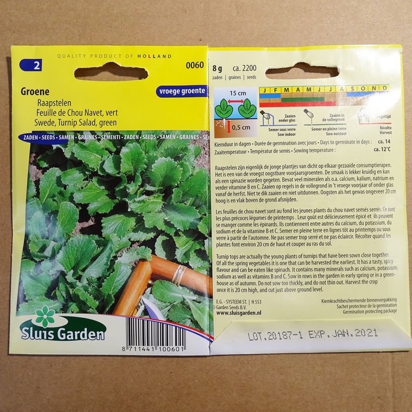Example of Turnip greens - Brassica rapa per pack of 2200 seeds (8g) specimen as delivered