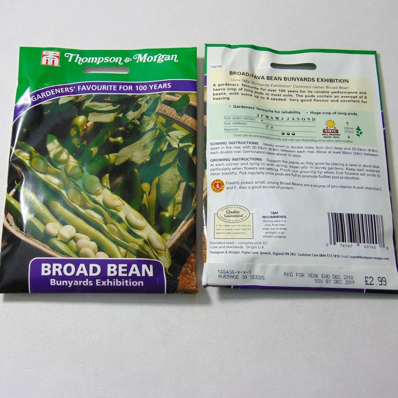 Example of Broad bean Bunyards Exhibition per pack of 30 seeds specimen as delivered