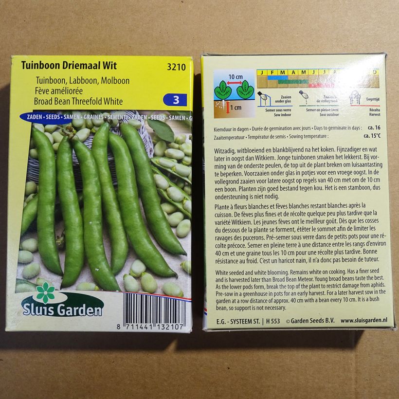 Example of Broad Bean Threefold White specimen as delivered