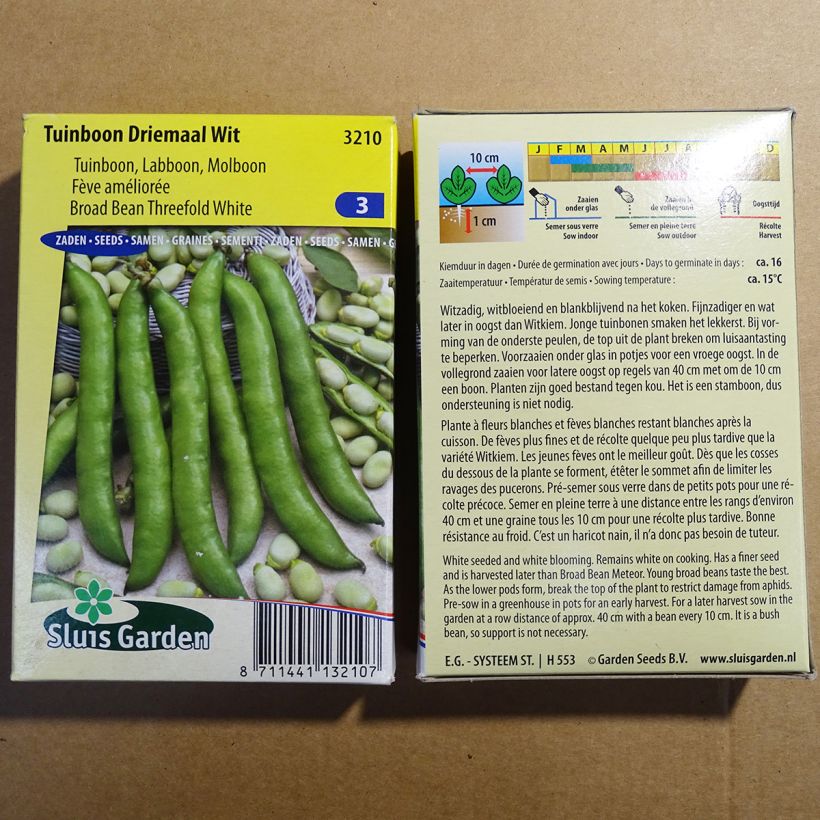 Example of Broad Bean Threefold White per pack of 45 seeds (90g) specimen as delivered