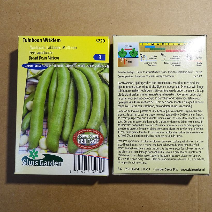 Example of Broad Bean Witkiem per pack of 42 seeds (85g) specimen as delivered