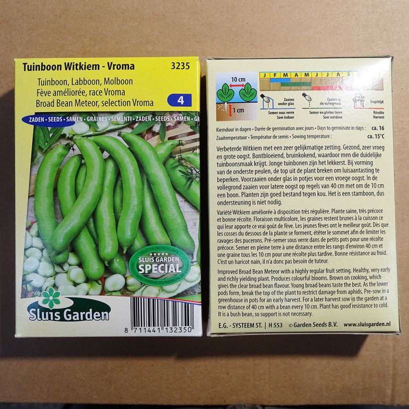 Example of Broad Bean Witkiem Vroma per pack of 40 seeds (75g) specimen as delivered