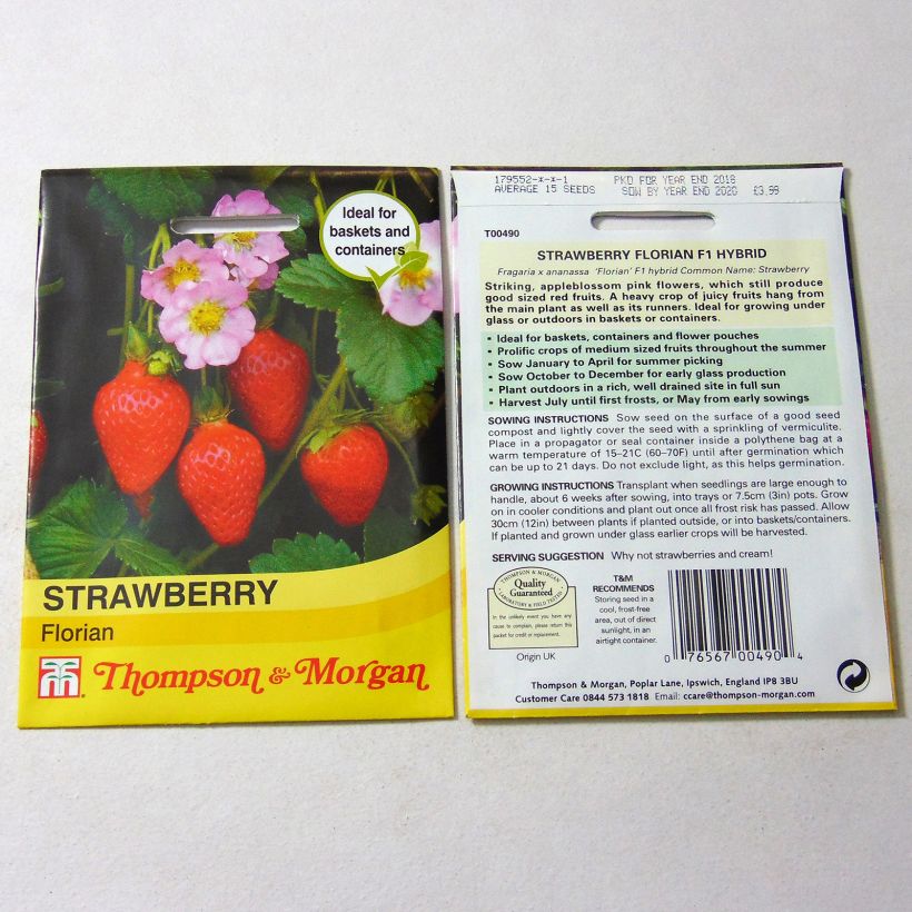 Example of Fragaria x ananassa 'Florian' per pack of 15 seeds specimen as delivered