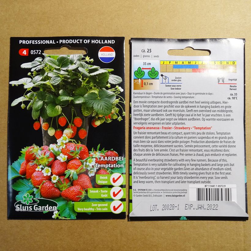 Example of Fragaria vesca 'Temptation' per pack of 25 seeds specimen as delivered