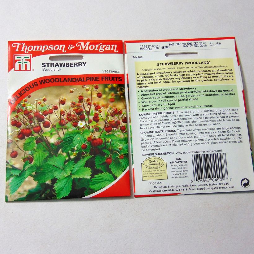 Example of Wild Strawberry Woodland - Fragaria vesca per pack of 100 seeds specimen as delivered